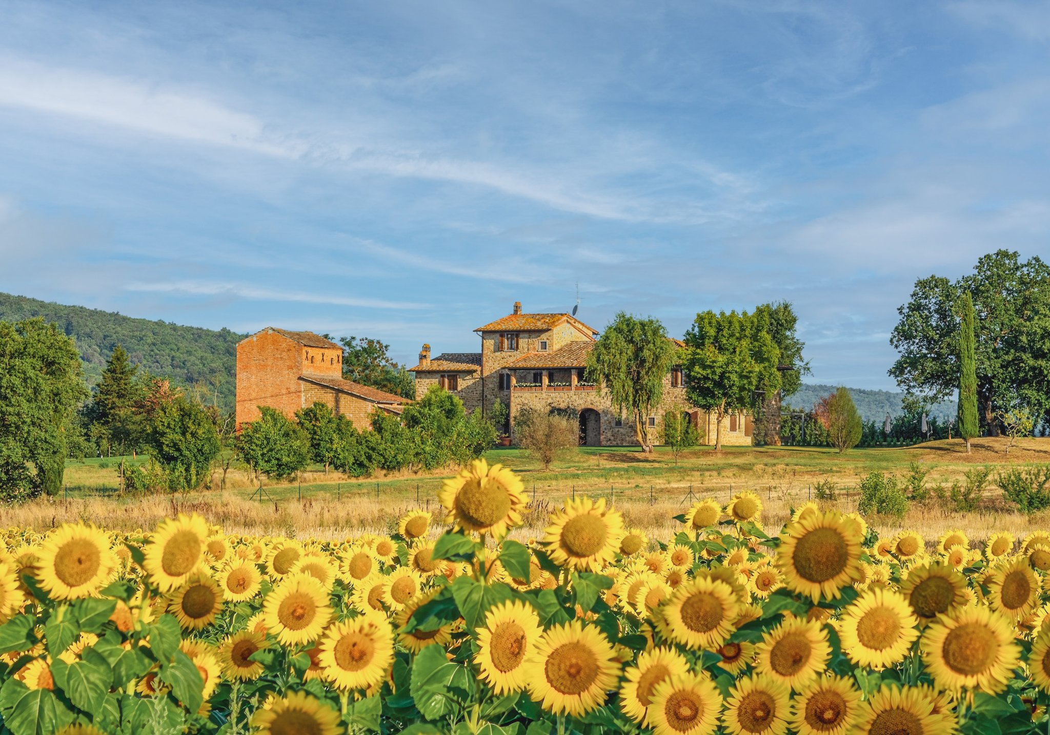 Villa Caggio Tuscany Luxury Vacation Rental