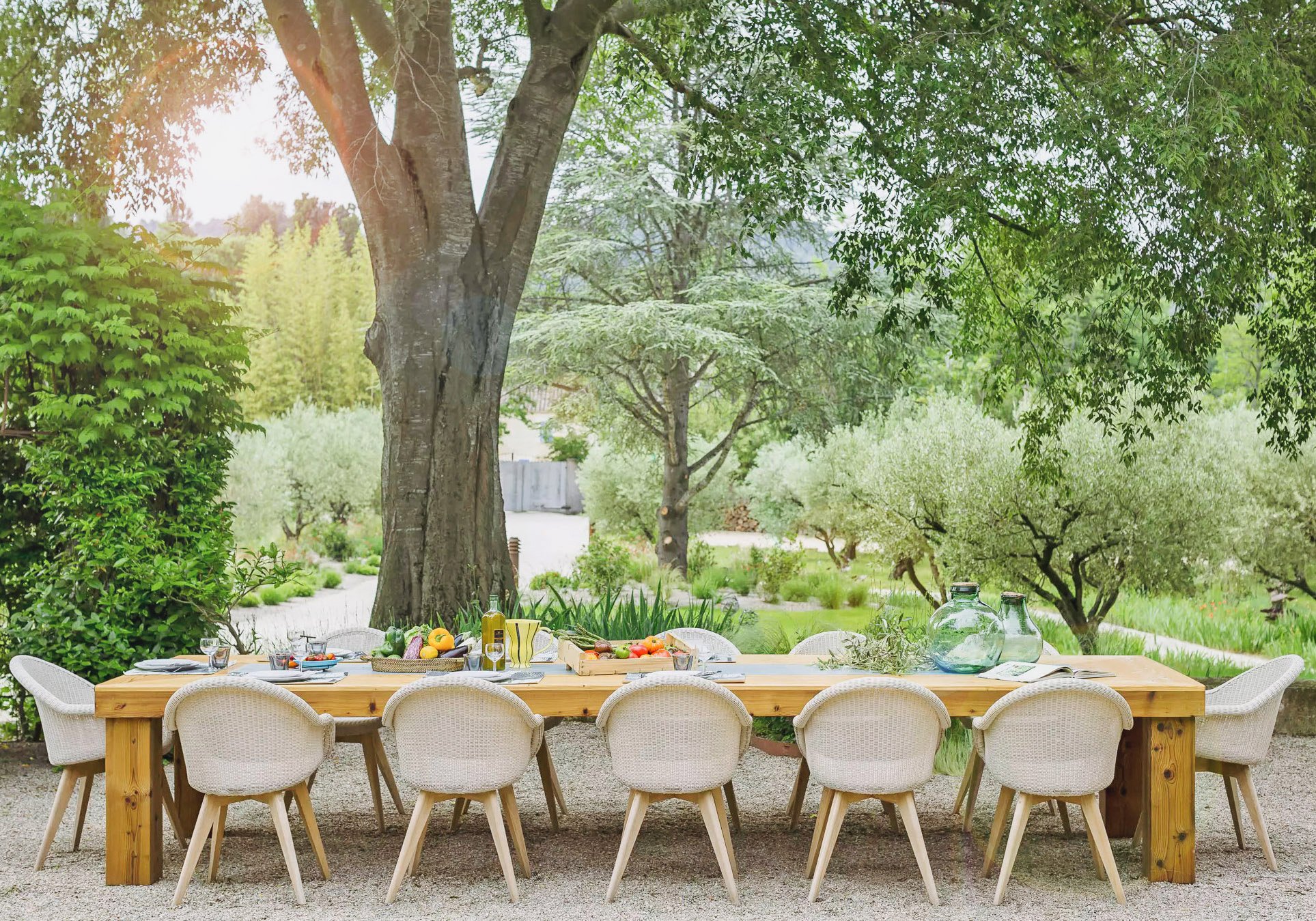 Domaine Le Mistral Villa Provence