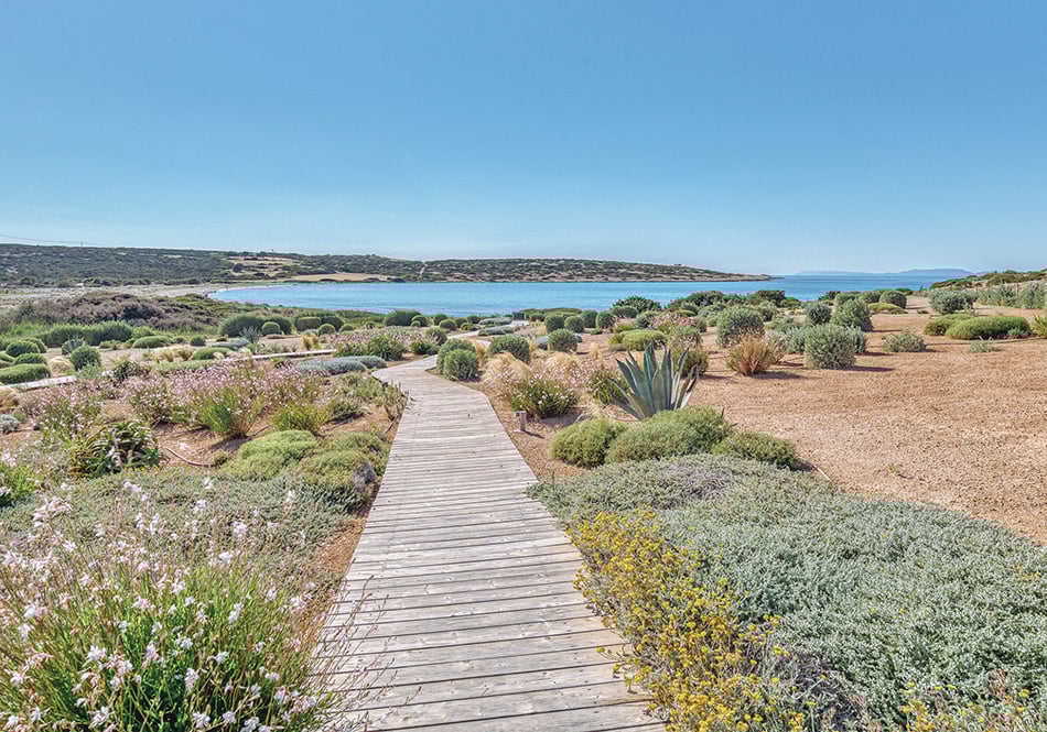 2-Paros-luxury-beachfront-holiday-villa-gardens-PAR1035-2