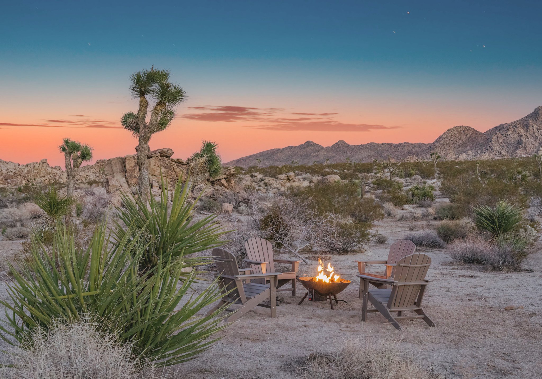 the-ultimate-guide-to-joshua-tree