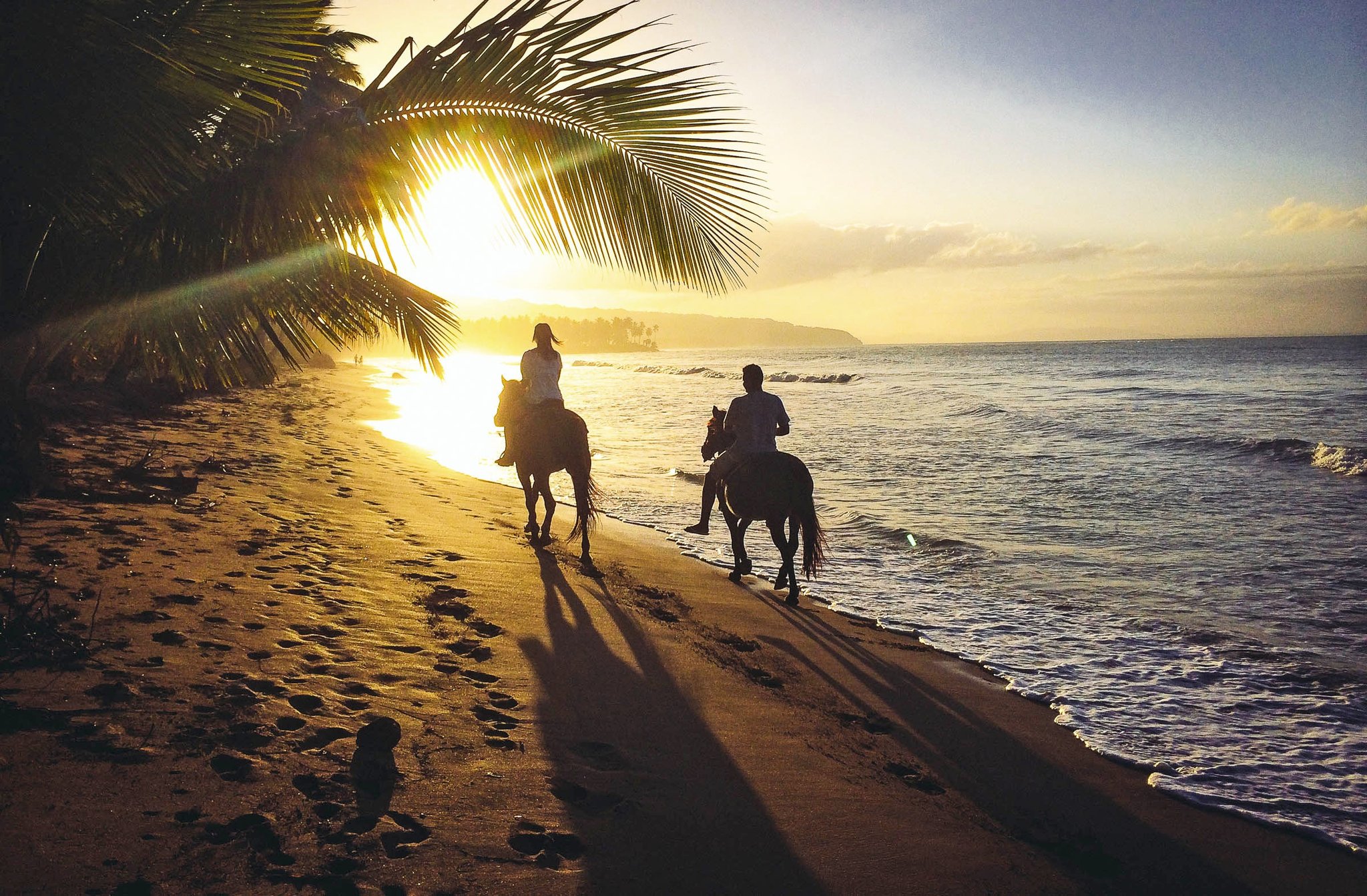 Horseback Riding On The Beach