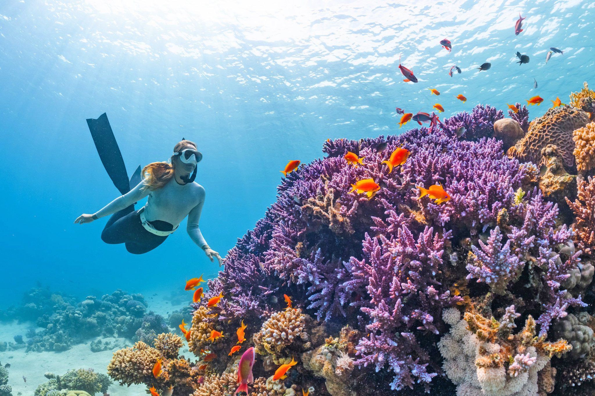 Snorkeling Tour