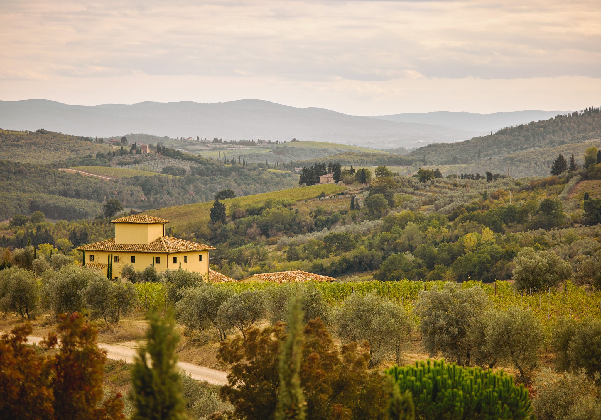47-Tuscany-Luxury-Villa-Rental-Outdoor-TU10833036.jpg