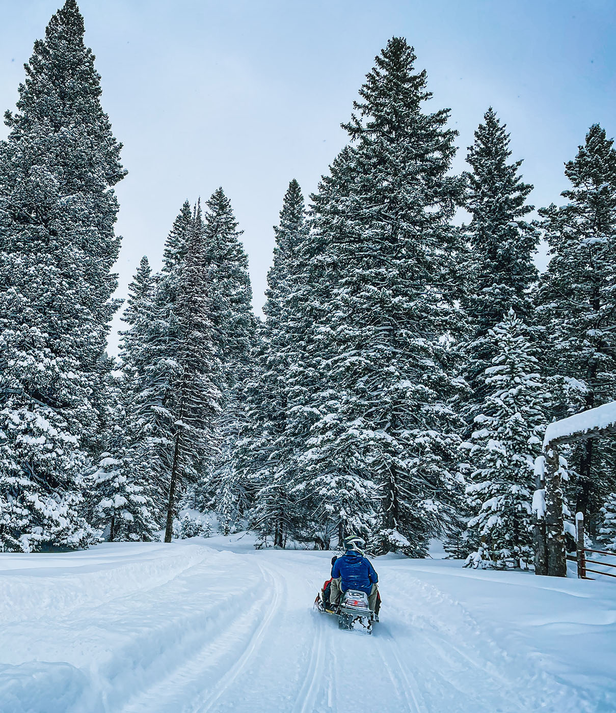 Snowmobile Excursion