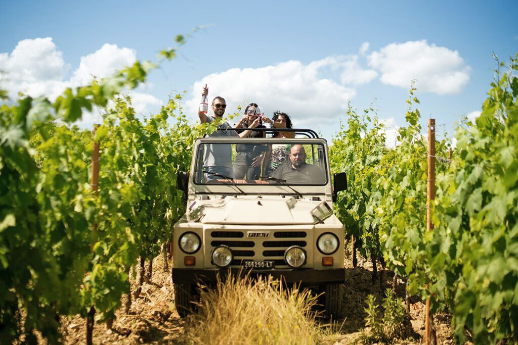 Wine Safari In Tuscany