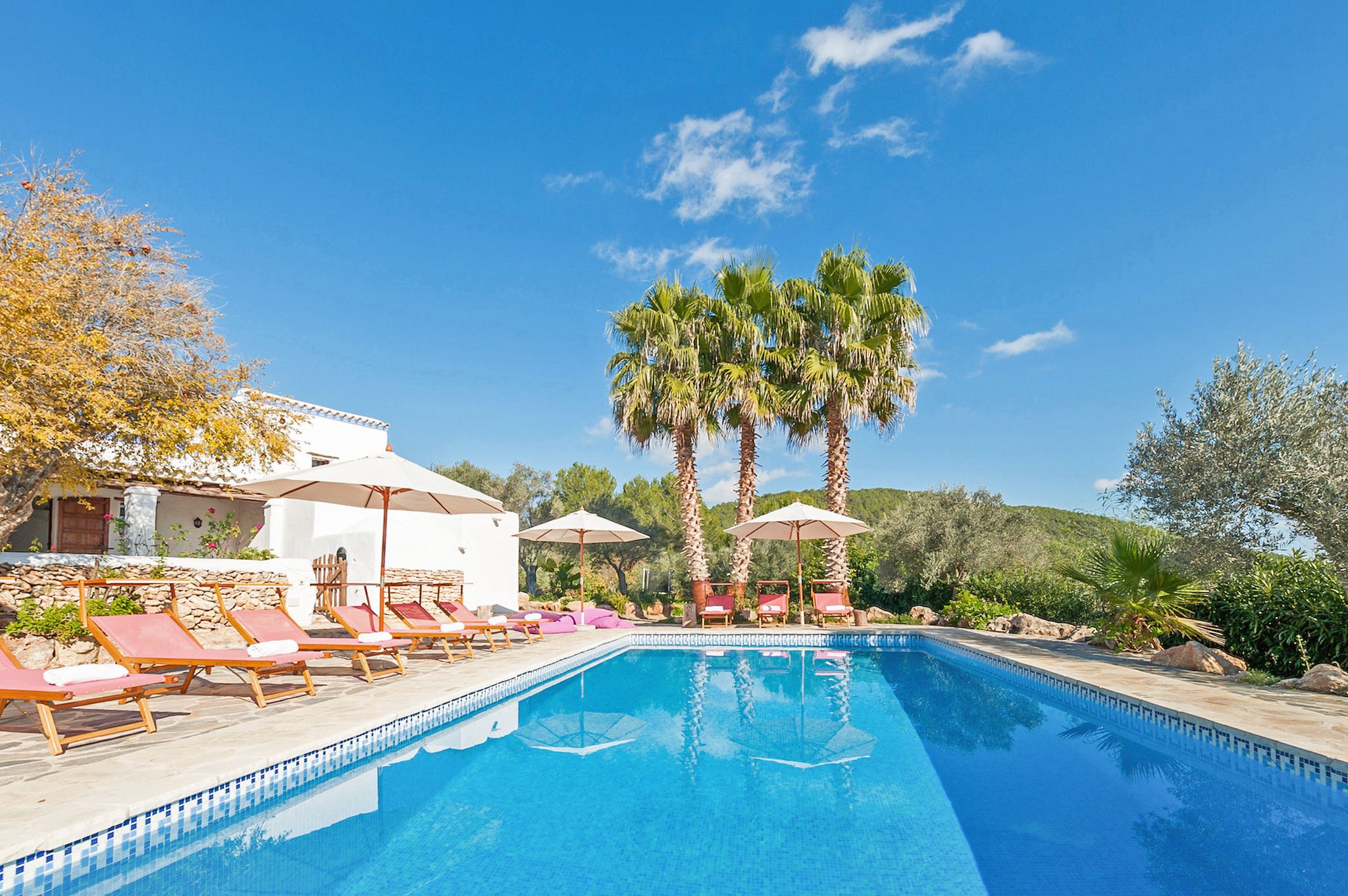 Finca Blanca Ibiza Rental