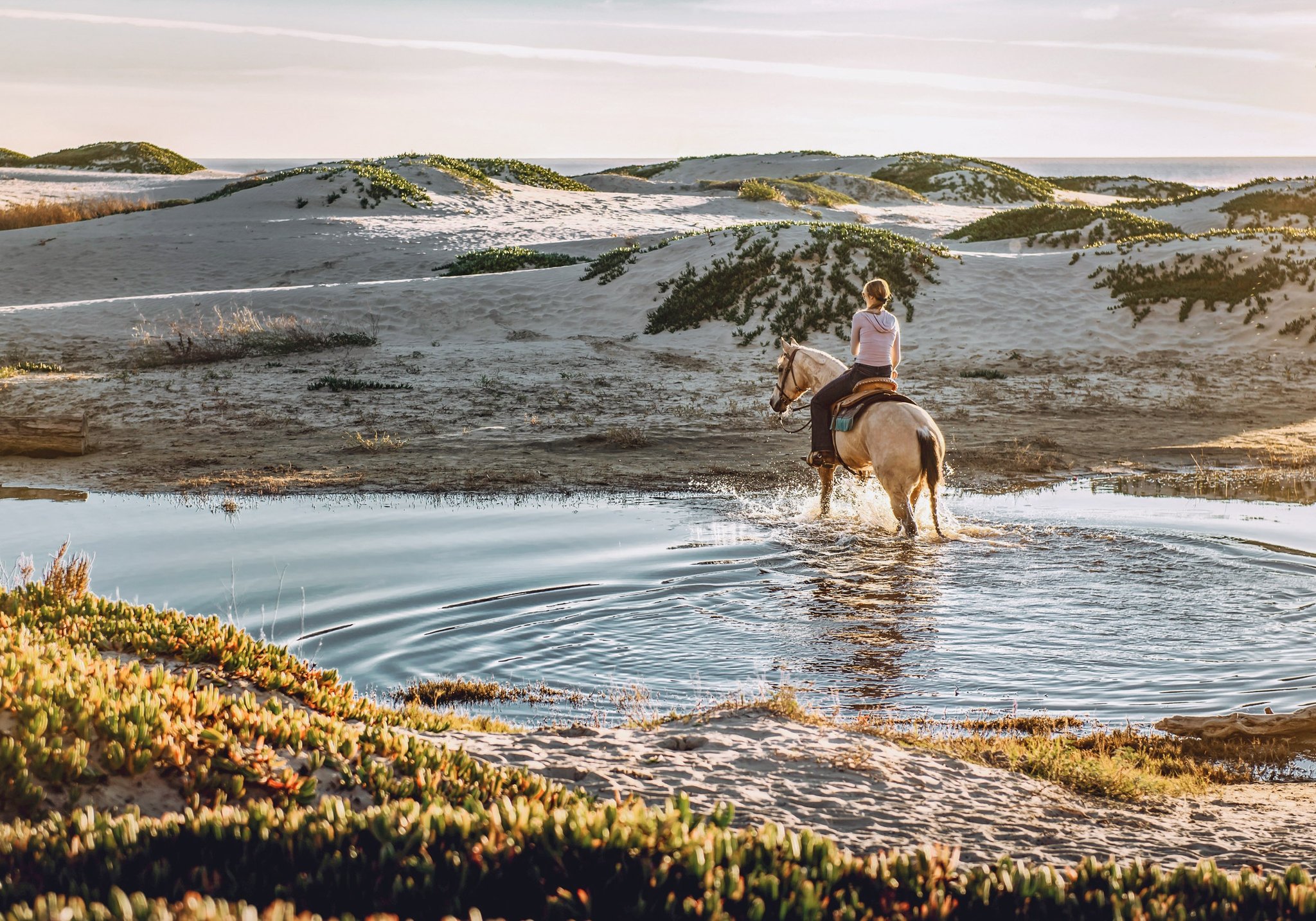 Horseback Riding